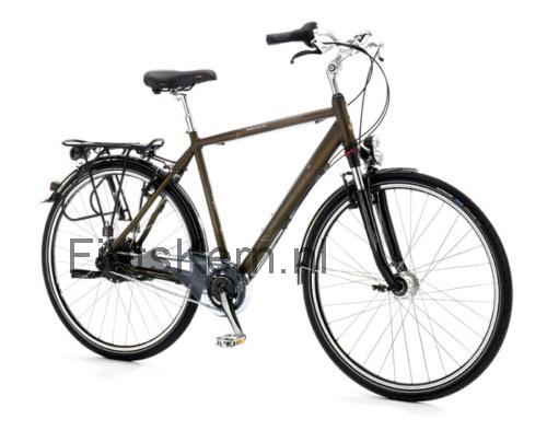 Raleigh Carlton specificaties
